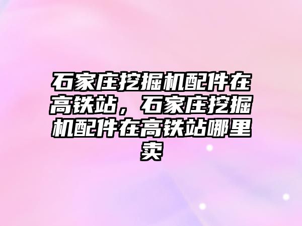 石家莊挖掘機配件在高鐵站，石家莊挖掘機配件在高鐵站哪里賣