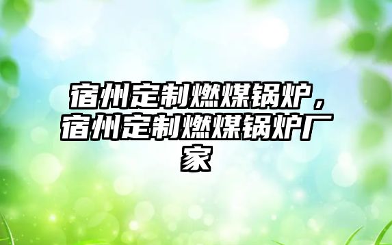 宿州定制燃煤鍋爐，宿州定制燃煤鍋爐廠家