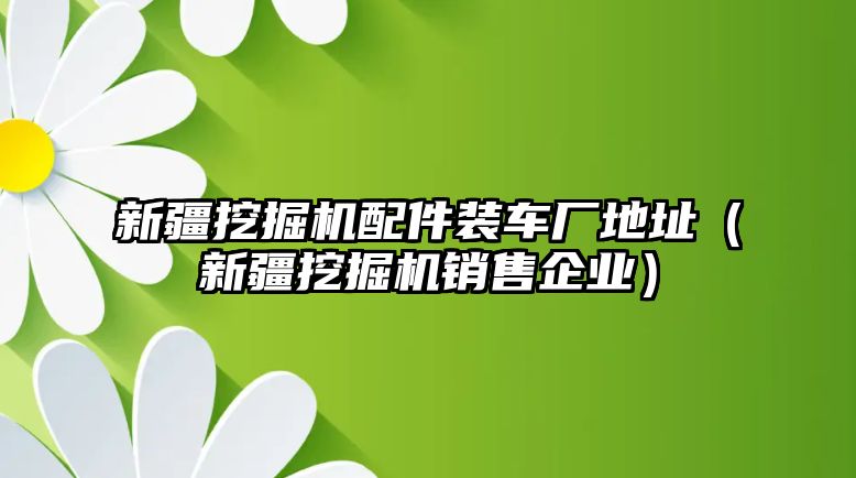 新疆挖掘機配件裝車廠地址（新疆挖掘機銷售企業）