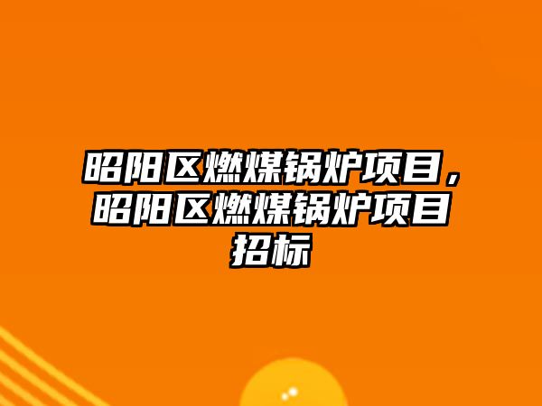 昭陽區燃煤鍋爐項目，昭陽區燃煤鍋爐項目招標