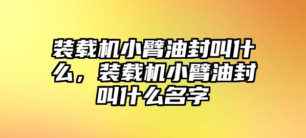 裝載機小臂油封叫什么，裝載機小臂油封叫什么名字