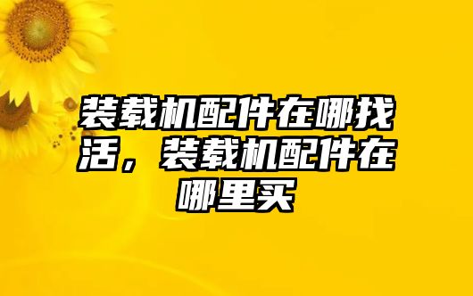 裝載機(jī)配件在哪找活，裝載機(jī)配件在哪里買(mǎi)