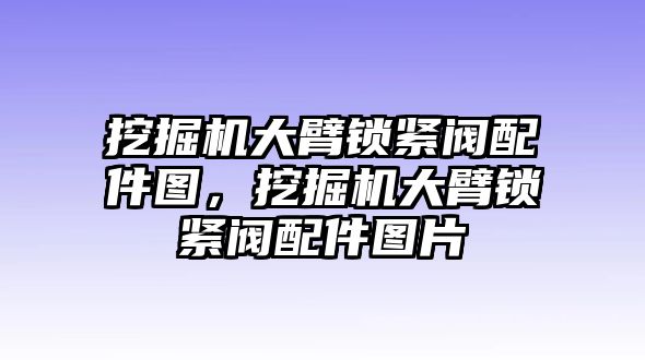 挖掘機(jī)大臂鎖緊閥配件圖，挖掘機(jī)大臂鎖緊閥配件圖片