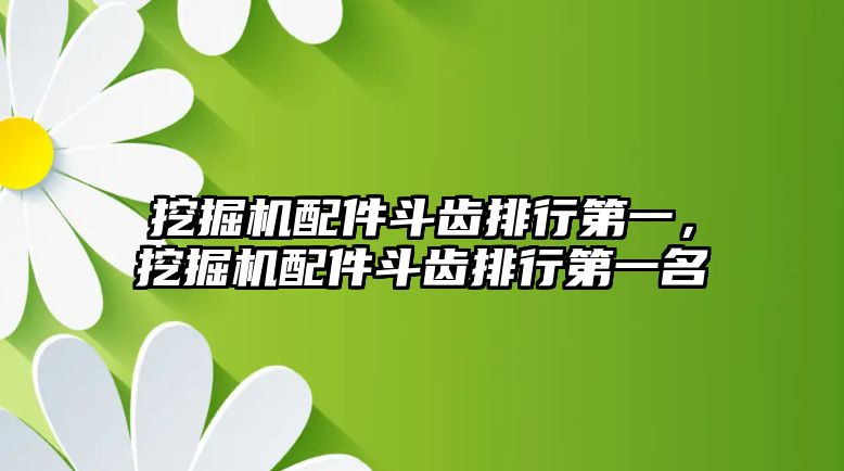 挖掘機配件斗齒排行第一，挖掘機配件斗齒排行第一名