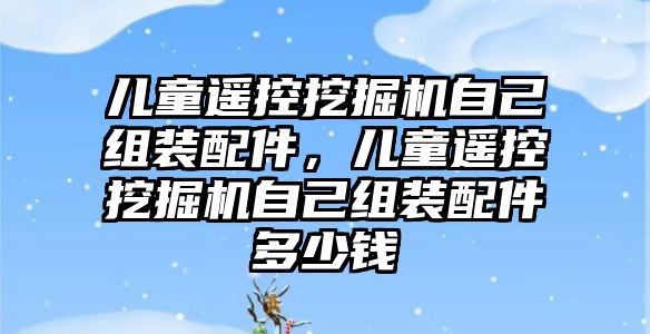 兒童遙控挖掘機自己組裝配件，兒童遙控挖掘機自己組裝配件多少錢