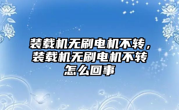 裝載機無刷電機不轉，裝載機無刷電機不轉怎么回事