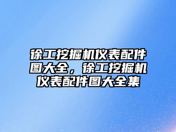 徐工挖掘機儀表配件圖大全，徐工挖掘機儀表配件圖大全集