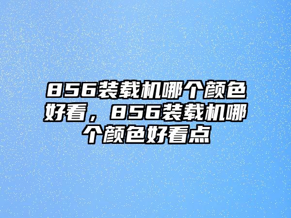 856裝載機(jī)哪個顏色好看，856裝載機(jī)哪個顏色好看點(diǎn)