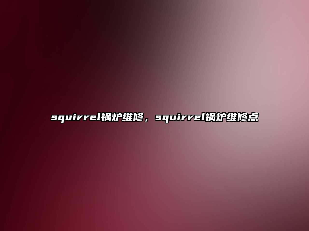 squirrel鍋爐維修，squirrel鍋爐維修點