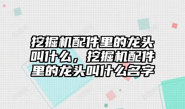 挖掘機配件里的龍頭叫什么，挖掘機配件里的龍頭叫什么名字