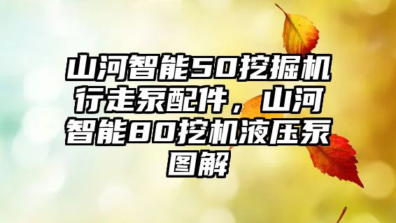 山河智能50挖掘機(jī)行走泵配件，山河智能80挖機(jī)液壓泵圖解