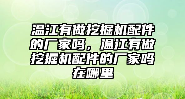 溫江有做挖掘機(jī)配件的廠家嗎，溫江有做挖掘機(jī)配件的廠家嗎在哪里