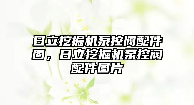 日立挖掘機泵控閥配件圖，日立挖掘機泵控閥配件圖片