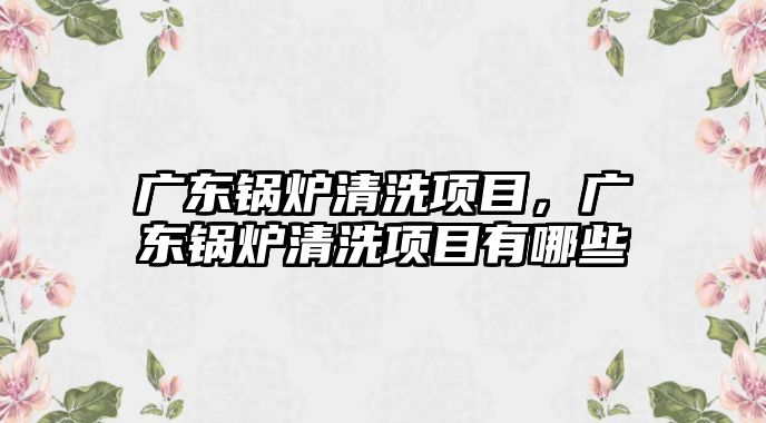 廣東鍋爐清洗項目，廣東鍋爐清洗項目有哪些