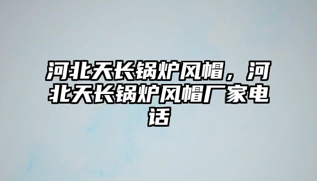 河北天長(zhǎng)鍋爐風(fēng)帽，河北天長(zhǎng)鍋爐風(fēng)帽廠家電話