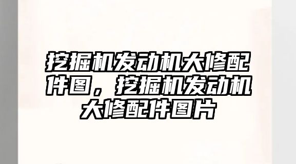 挖掘機發動機大修配件圖，挖掘機發動機大修配件圖片