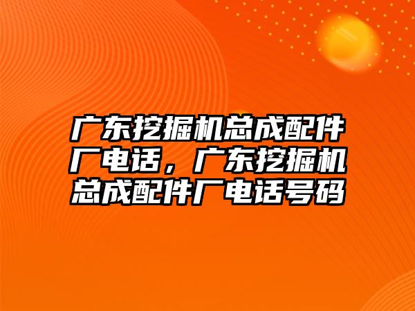 廣東挖掘機總成配件廠電話，廣東挖掘機總成配件廠電話號碼