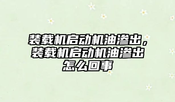 裝載機啟動機油滲出，裝載機啟動機油滲出怎么回事