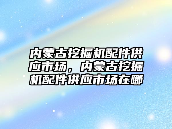 內蒙古挖掘機配件供應市場，內蒙古挖掘機配件供應市場在哪