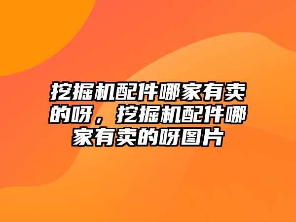 挖掘機配件哪家有賣的呀，挖掘機配件哪家有賣的呀圖片