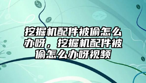 挖掘機配件被偷怎么辦呀，挖掘機配件被偷怎么辦呀視頻