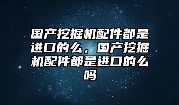 國產挖掘機配件都是進口的么，國產挖掘機配件都是進口的么嗎