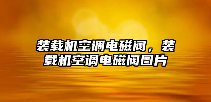 裝載機空調(diào)電磁閥，裝載機空調(diào)電磁閥圖片