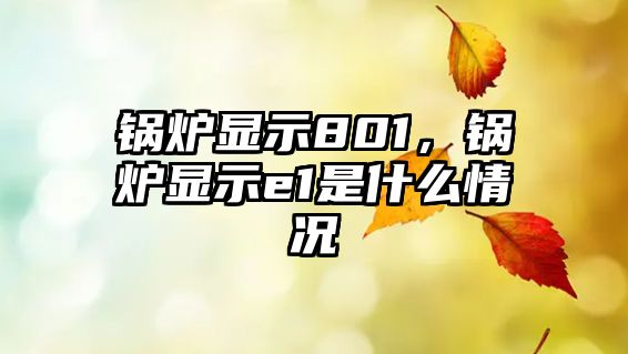 鍋爐顯示801，鍋爐顯示e1是什么情況