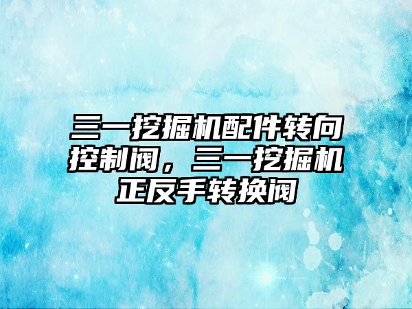 三一挖掘機配件轉(zhuǎn)向控制閥，三一挖掘機正反手轉(zhuǎn)換閥