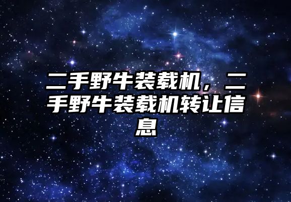 二手野牛裝載機，二手野牛裝載機轉讓信息