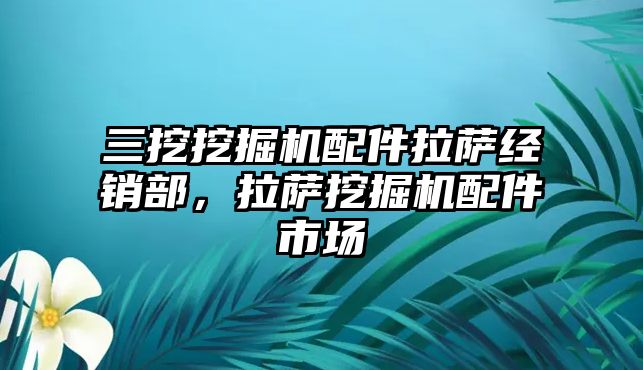 三挖挖掘機配件拉薩經(jīng)銷部，拉薩挖掘機配件市場