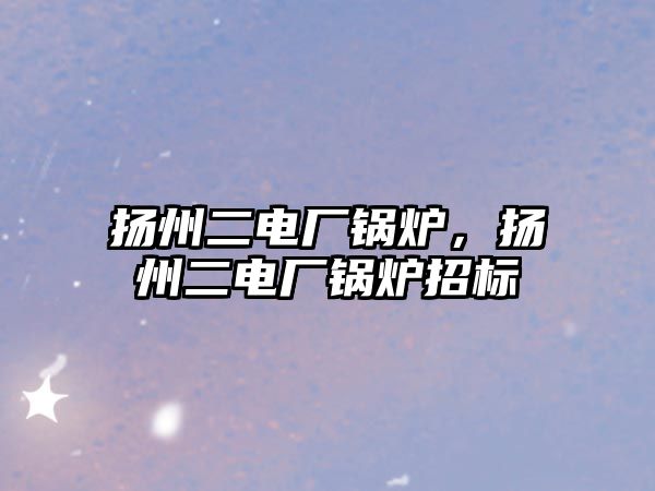 揚州二電廠鍋爐，揚州二電廠鍋爐招標