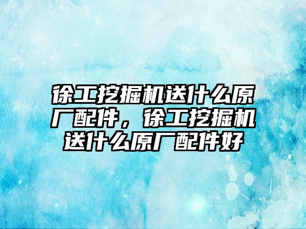 徐工挖掘機送什么原廠配件，徐工挖掘機送什么原廠配件好