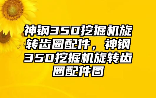 神鋼350挖掘機旋轉齒圈配件，神鋼350挖掘機旋轉齒圈配件圖