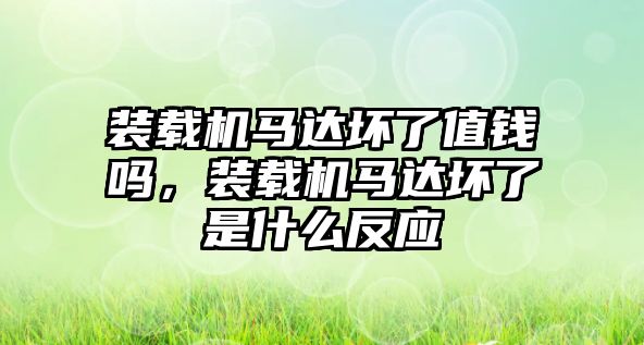 裝載機馬達壞了值錢嗎，裝載機馬達壞了是什么反應(yīng)