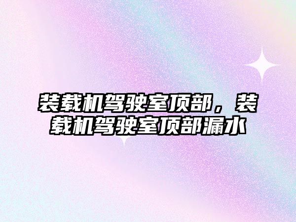 裝載機駕駛室頂部，裝載機駕駛室頂部漏水