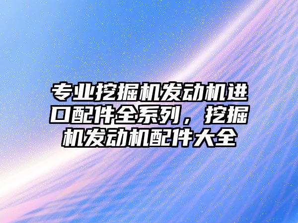 專業挖掘機發動機進口配件全系列，挖掘機發動機配件大全