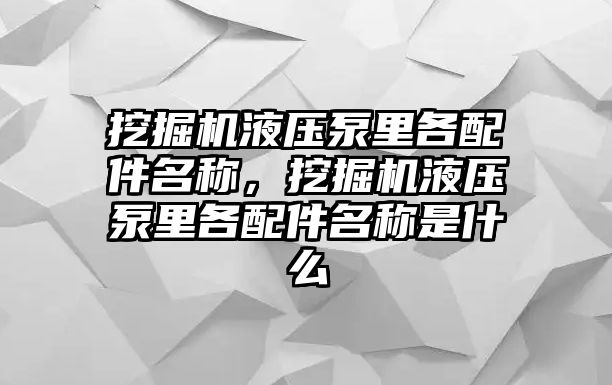 挖掘機液壓泵里各配件名稱，挖掘機液壓泵里各配件名稱是什么