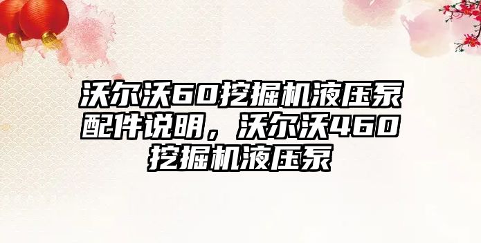 沃爾沃60挖掘機液壓泵配件說明，沃爾沃460挖掘機液壓泵