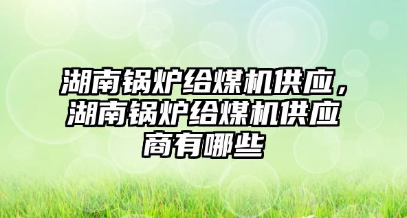 湖南鍋爐給煤機供應，湖南鍋爐給煤機供應商有哪些