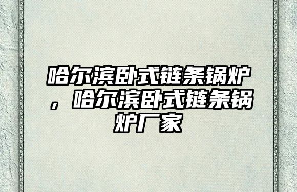 哈爾濱臥式鏈條鍋爐，哈爾濱臥式鏈條鍋爐廠家