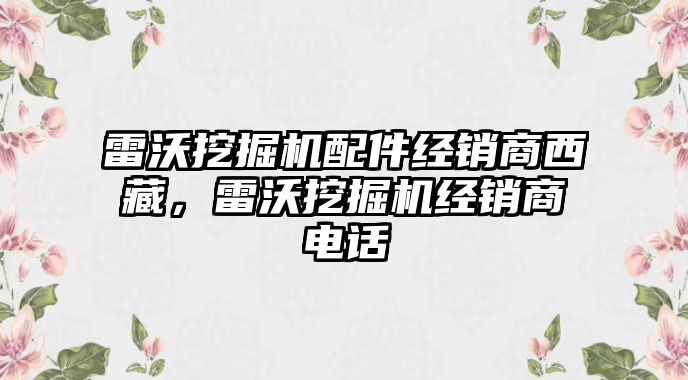 雷沃挖掘機配件經銷商西藏，雷沃挖掘機經銷商電話