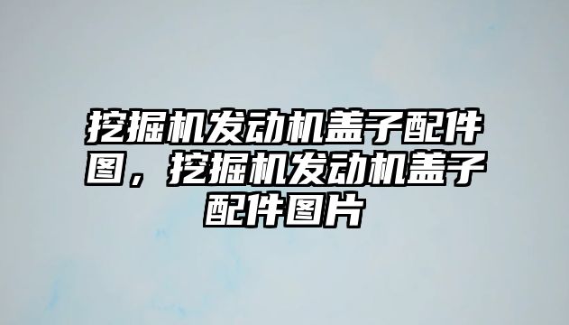 挖掘機(jī)發(fā)動機(jī)蓋子配件圖，挖掘機(jī)發(fā)動機(jī)蓋子配件圖片