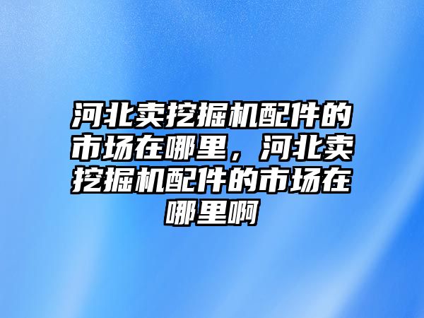 河北賣挖掘機配件的市場在哪里，河北賣挖掘機配件的市場在哪里啊