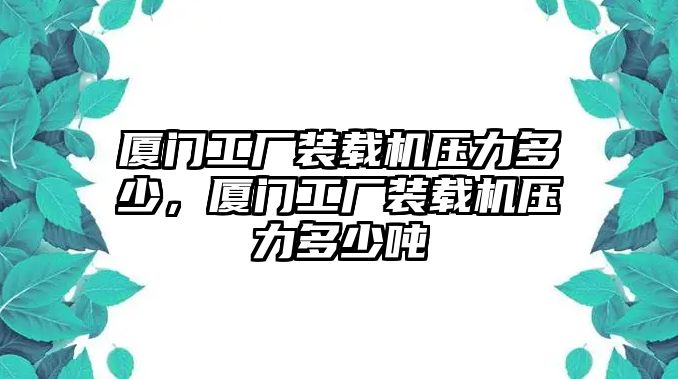 廈門工廠裝載機壓力多少，廈門工廠裝載機壓力多少噸