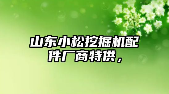 山東小松挖掘機配件廠商特供，