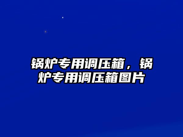 鍋爐專用調壓箱，鍋爐專用調壓箱圖片