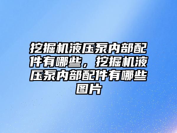 挖掘機液壓泵內部配件有哪些，挖掘機液壓泵內部配件有哪些圖片