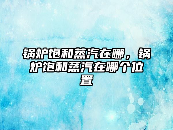 鍋爐飽和蒸汽在哪，鍋爐飽和蒸汽在哪個(gè)位置