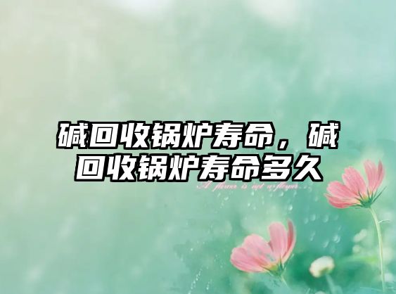 堿回收鍋爐壽命，堿回收鍋爐壽命多久